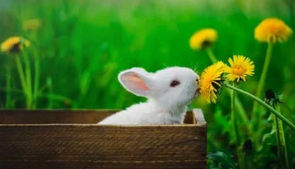 九游娱乐体育：点亮你的热爱，开启全新娱乐生态